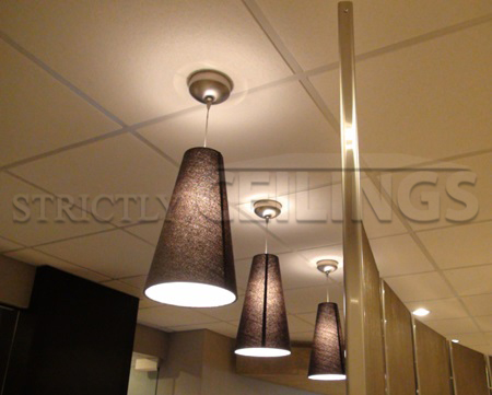 Ceiling Installation Services Wisconsin