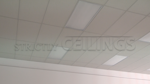 Basic Drop Ceiling Tile Showroom Low Cost Drop Ceiling