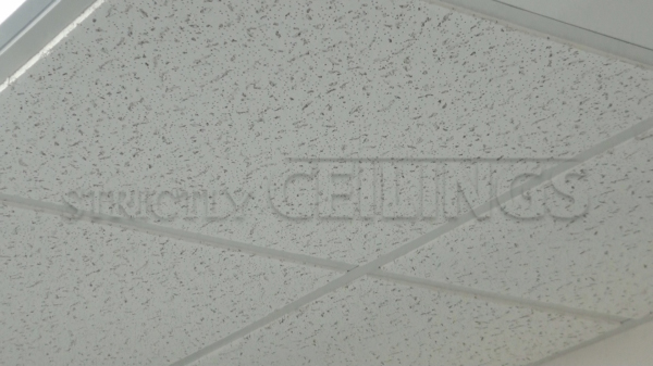 Basic Drop Ceiling Tile Showroom Low Cost Drop Ceiling